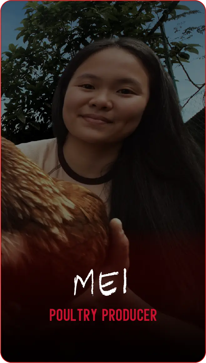 Mei@2x